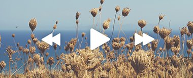 Players interface inspiration 25